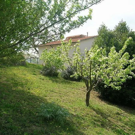 La Venarella *